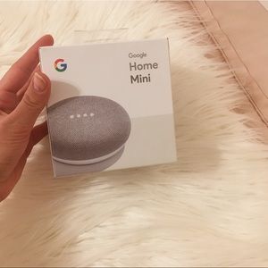 Google Mini Home
